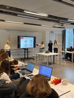 domus lab strasbourg